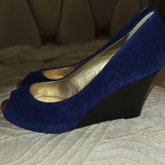 Lilly Pulitzer Blue and Gold Wedges with Elegant Design - Picture 5 of 13